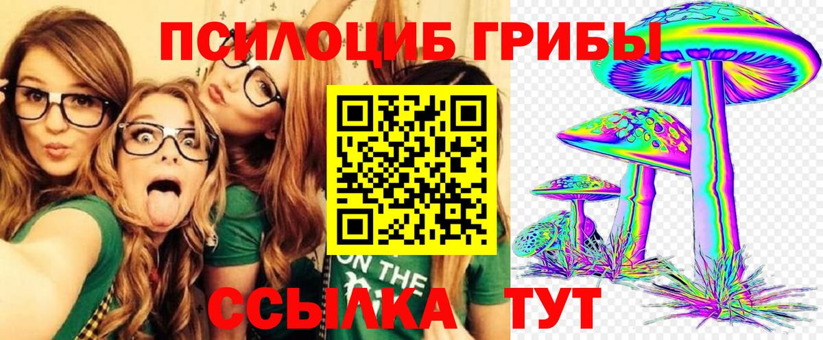 Углич  Псилоцибиновые грибы Psilocybe  Галлюциногенные грибы Magic Shrooms  Вход с VPN 