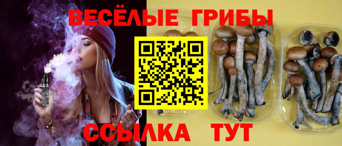 Галлюциногенные грибы прущие грибы Углич
